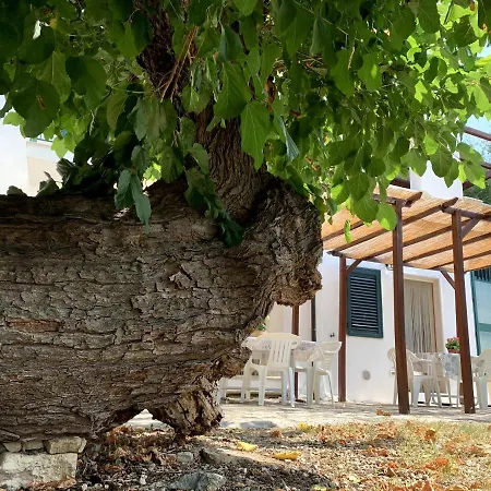 Casa Del Gelso * San Menaio