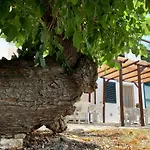 Casa Del Gelso * San Menaio