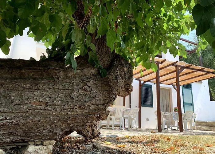 Casa Del Gelso * San Menaio